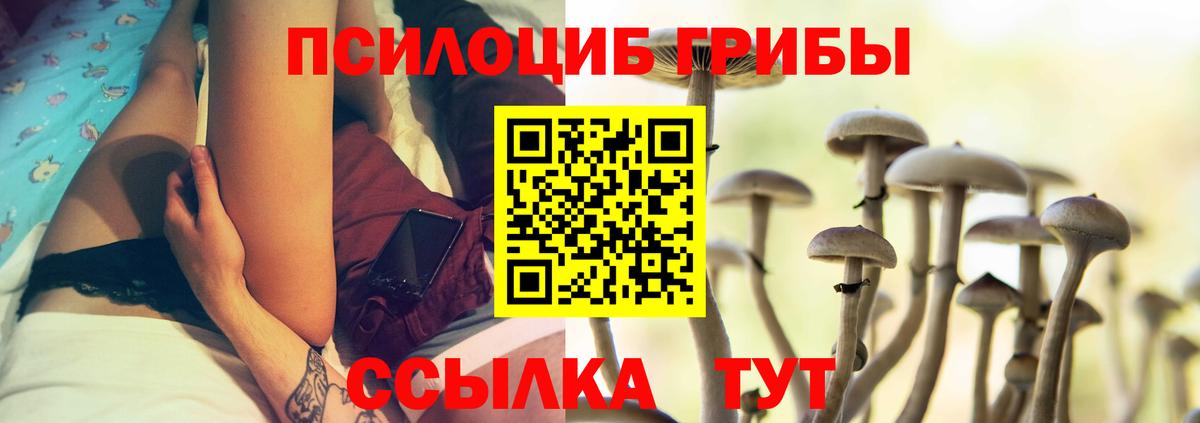 Псилоцибиновые грибы прущие грибы Татарск